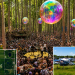 Electric Forest 2026 Baby Dead: Newborn Found in Porta-Potty, Police Investigate