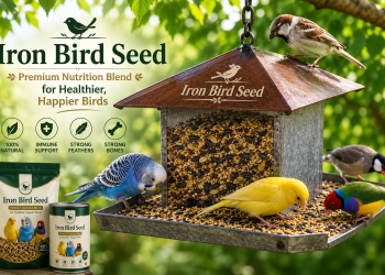 Iron Bird Seed
