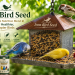 Iron Bird Seed